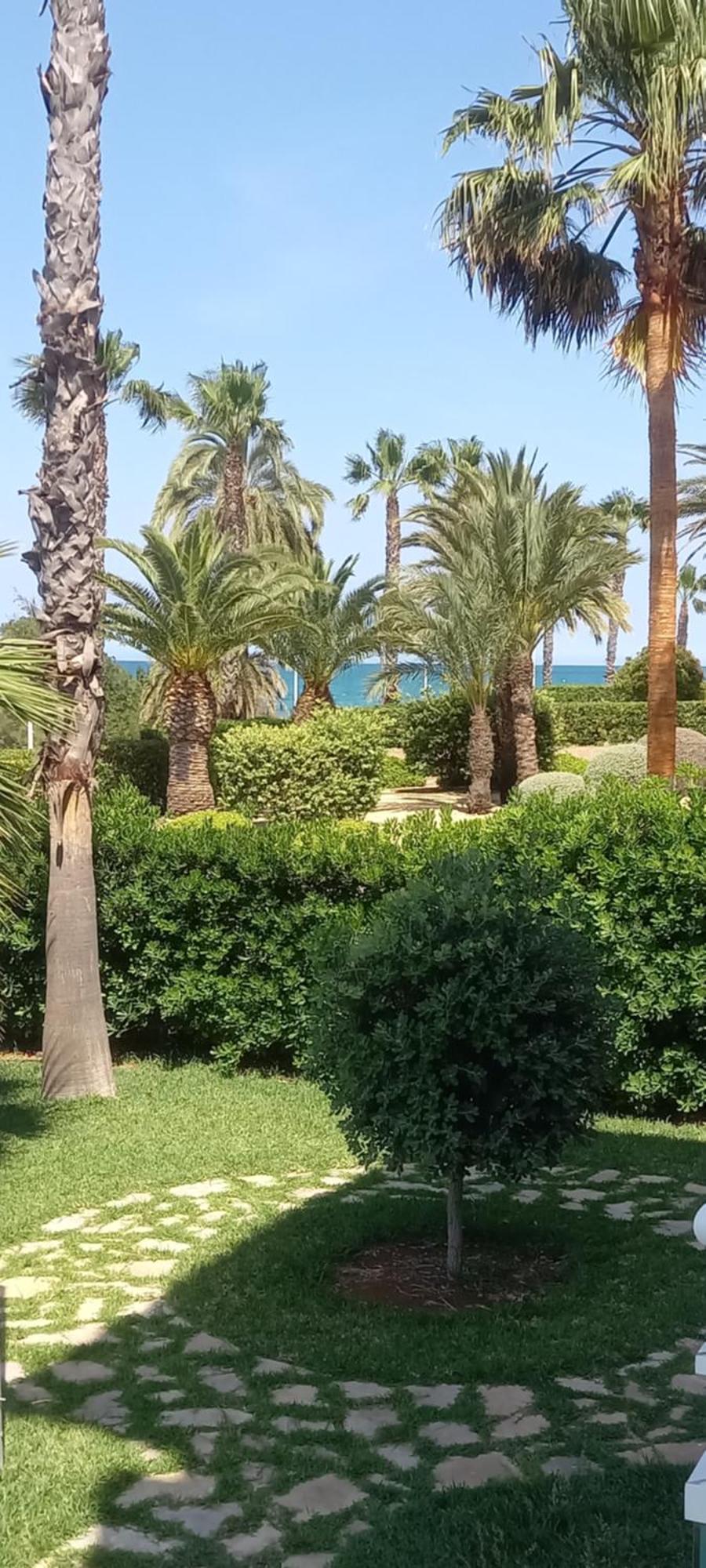 Beach View - Primera Linea Lujo Denia Dış mekan fotoğraf